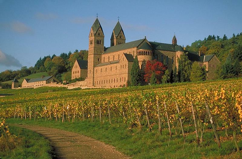 Ferienwohnung Schaefer- Arnold Rüdesheim am Rhein Dış mekan fotoğraf